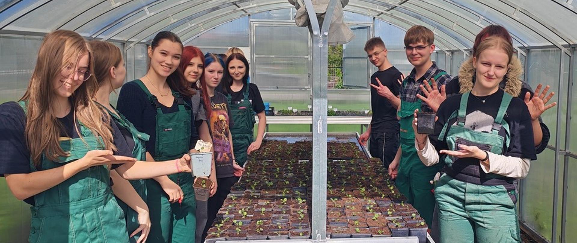 Produkcja roślin ozdobnych