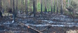 Pożar lasu Jabłonka