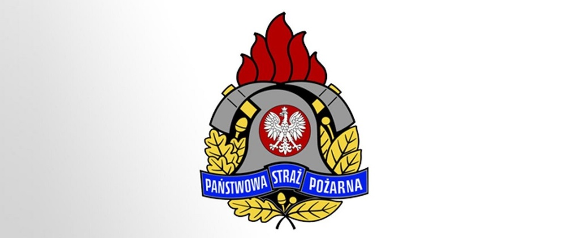 logo psp