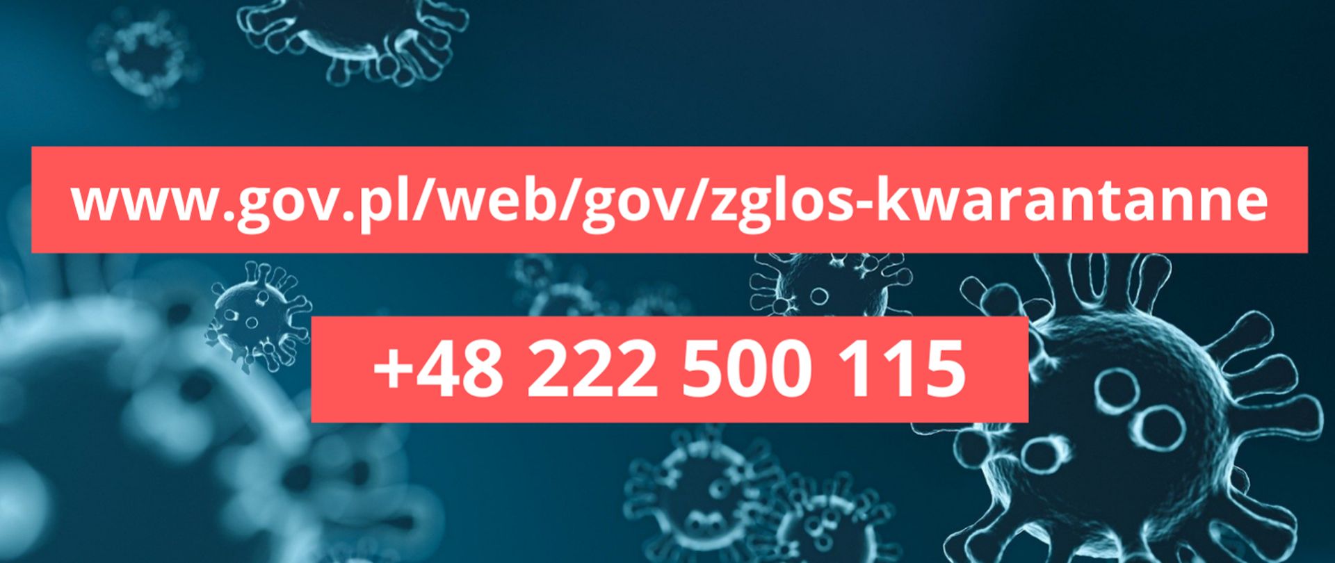 Zapytania i zgłoszenia dot. COVID-19