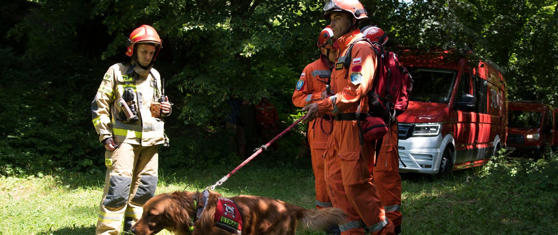 Strażacy PSP wraz z psem ratowniczym na tle kompleksu leśnego i lekkiego pojazdu pożarniczego.