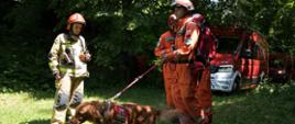 Strażacy PSP wraz z psem ratowniczym na tle kompleksu leśnego i lekkiego pojazdu pożarniczego.