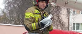 Zdjęcie przedstawia strażaka, który trzyma w rękach uwolnioną mewę. Strażak siedzi na podeście podnośnika hydraulicznego. 