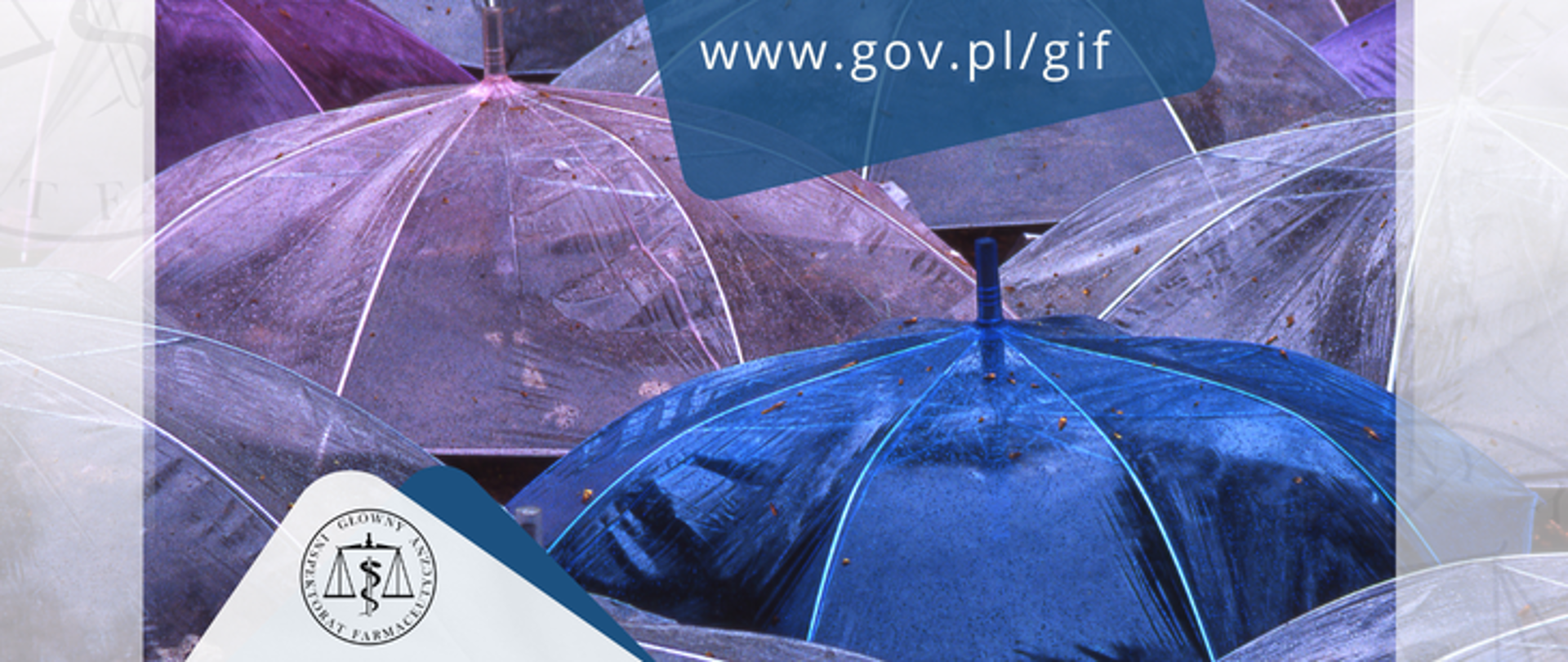 Szczepienia zalecane w aptekach - bezpieczna i wygodna forma profilaktyki