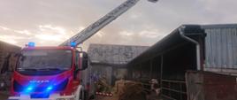 Pożar_budynku_gospodarczego