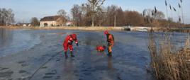 Na zdjęciu strażacy ubrani w czerwone ubrania wypornościowe przy pomocy liny ćwiczą ewakuację osoby z zamarzniętego akwenu.