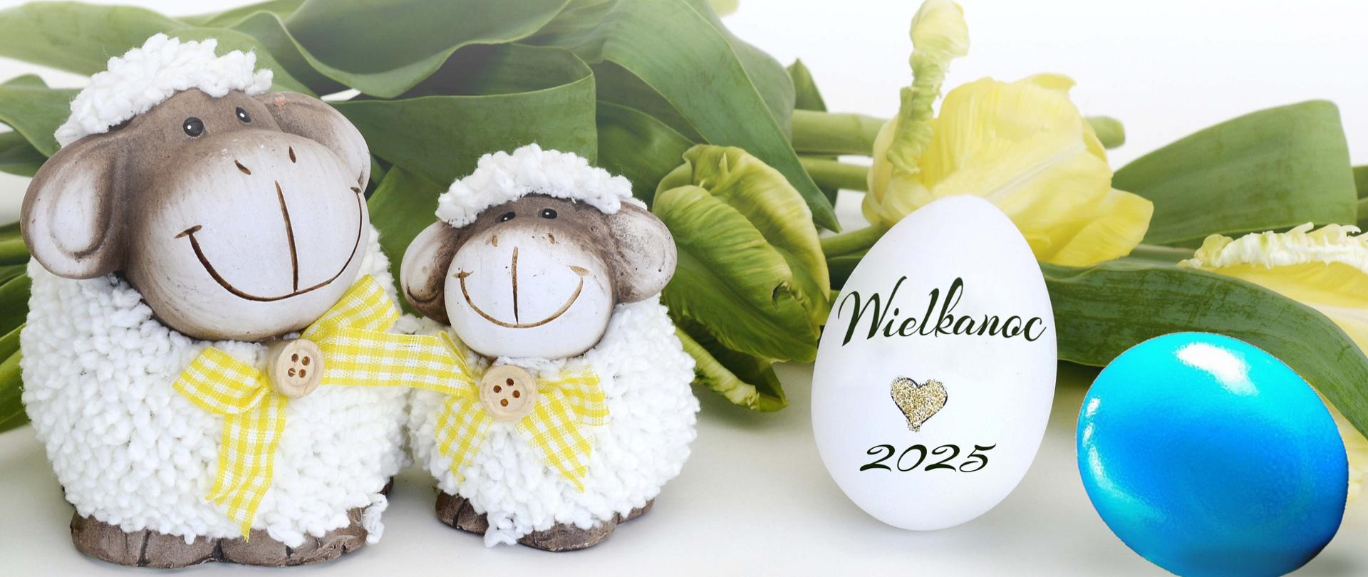 Na zdjęciu z lewej strony są figurki dwóch baranków, mają kokardki z białożółtej kratki wykończone guzikiem, większy stoi od lewej, mniejszy bliżej środka. Z prawej strony leży niebieskie jajko, obok białe z napisem Wielkanoc 2025 i serduszkiem. W tle widać ułożone żółte tulipany.