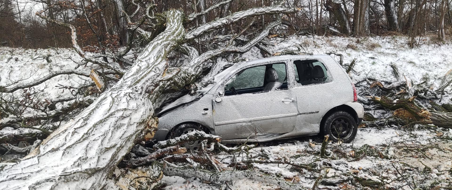 Zdjęcie przedstawia przydrożne drzewo powalone na samochód osobowy koloru srebrnego