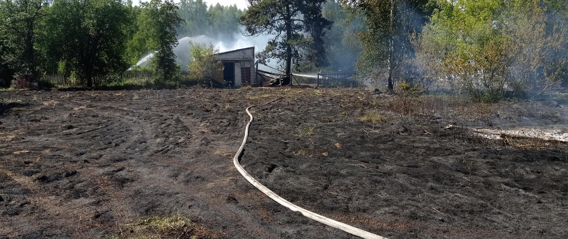 Na zdjęciu widoczne jest pogorzelisko po pożarze trawy. W oddali widać kłęby niebieskiego dymu. Przez środek biegnie linia wężowa która prowadzi do palącego się budynku gospodarczego. Na zdjęciu widać nadpalone drzewa.