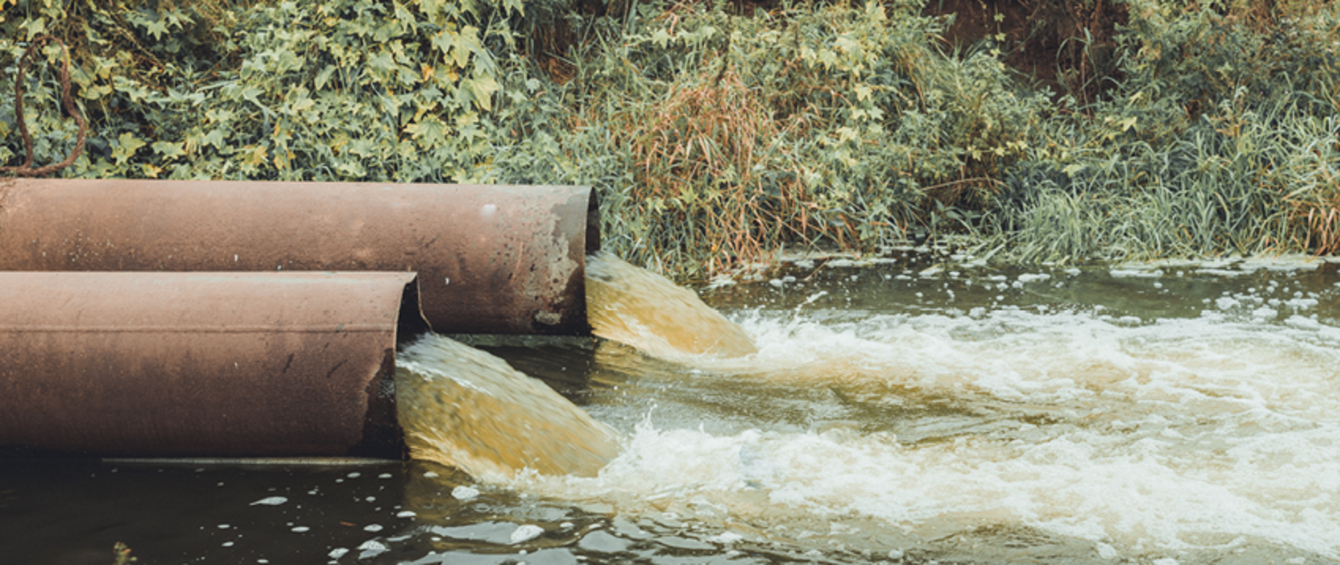 Nieczystości miniatura.