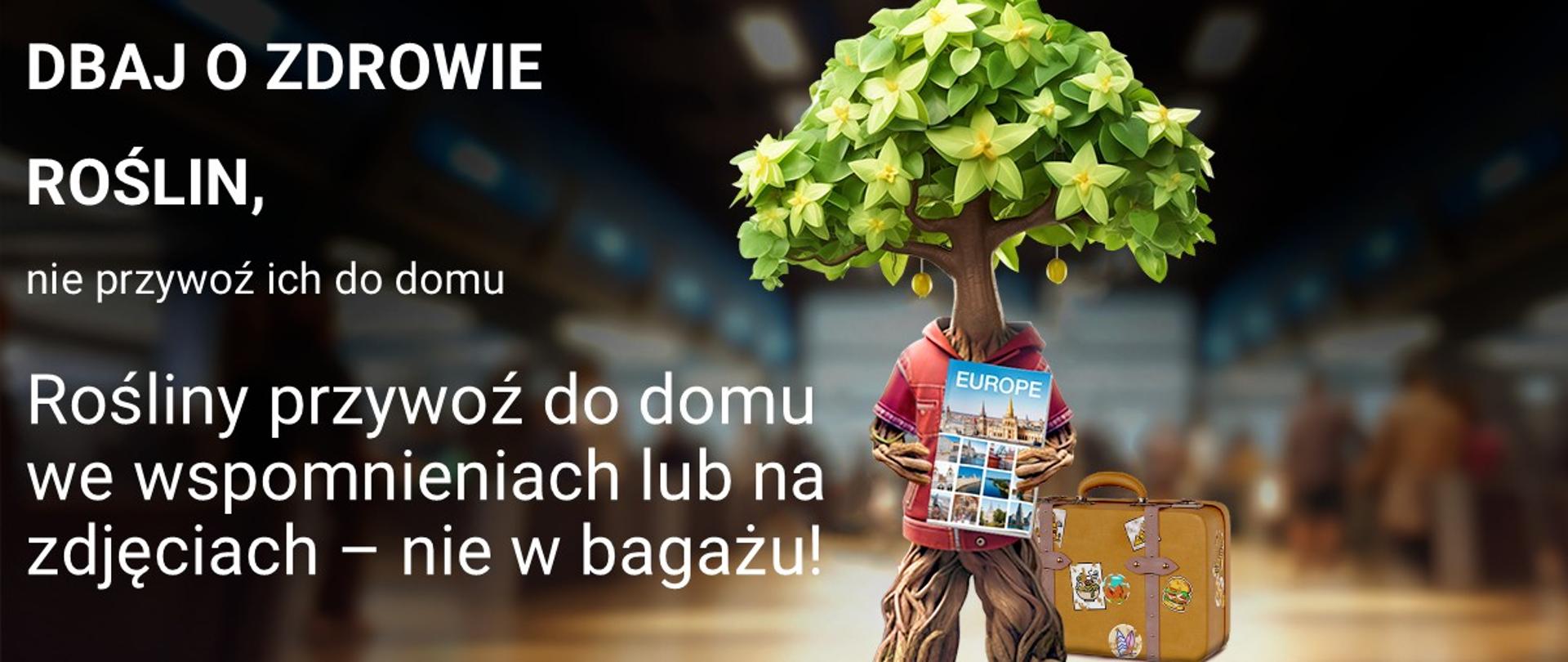 PLANT HEALTH FOR LIFE - ZDROWIE ROŚLIN TO NASZA PRZYSZŁOŚĆ
