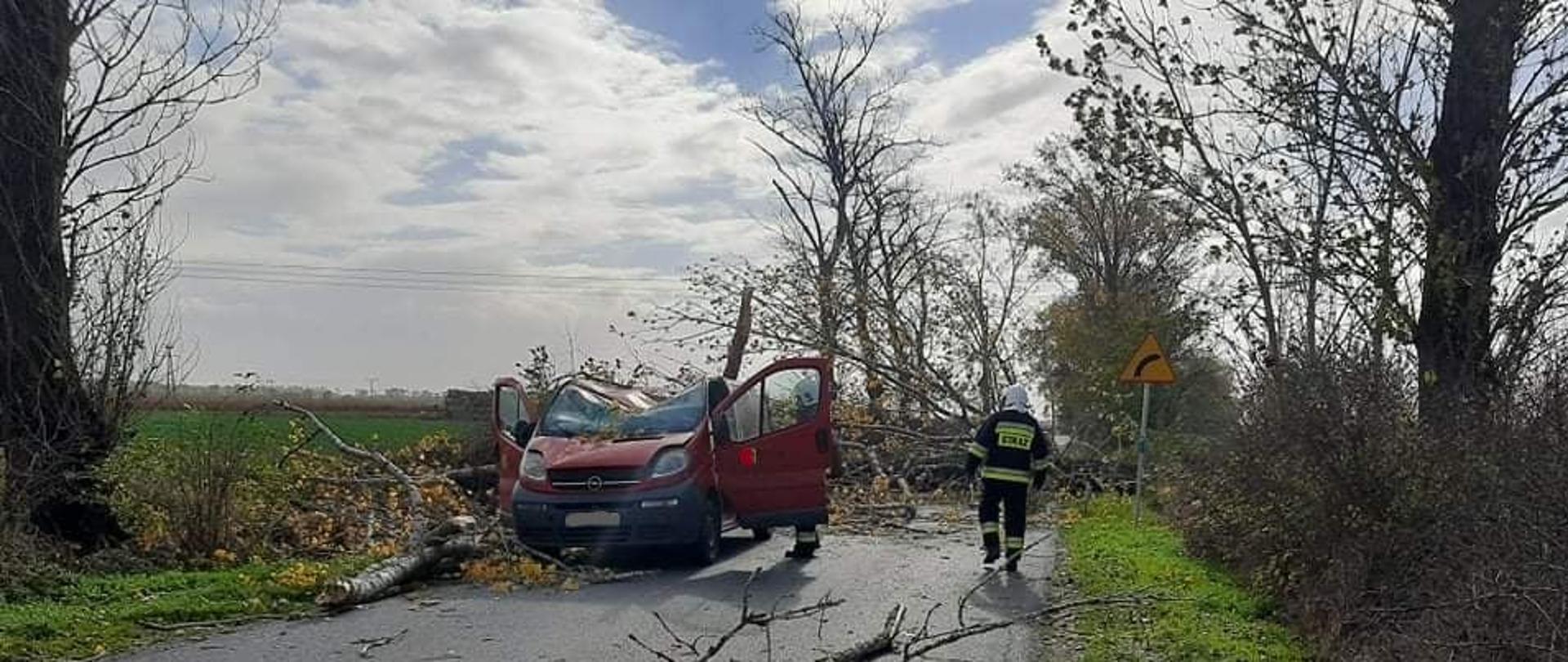Widać uszkodzony samochód na drodze, w oddali leżące drzewo na drodze