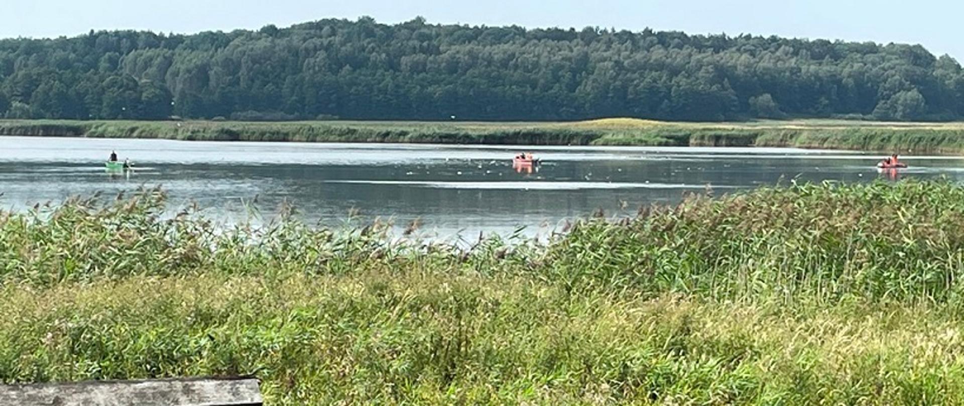 Śnięte ryby w rezerwacie przyrody "Kwiecewo"