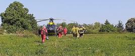 Transport poszkodowanego do śmigłowca Lotniczego Pogotowia Ratunkowego