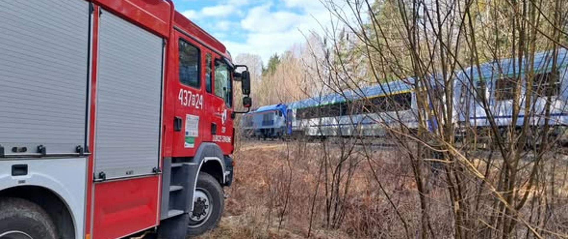 Zderzenie pociągu osobowego z żubrami