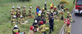 Służby ratownicze udzielają pierwszej pomocy wielu poszkodowanym leżącym na poboczu drogi. W akcji biorą udział strażacy, policjanci oraz ratownicy medyczni. Widoczny czerwony wóz strażacki i zielone pole w tle.