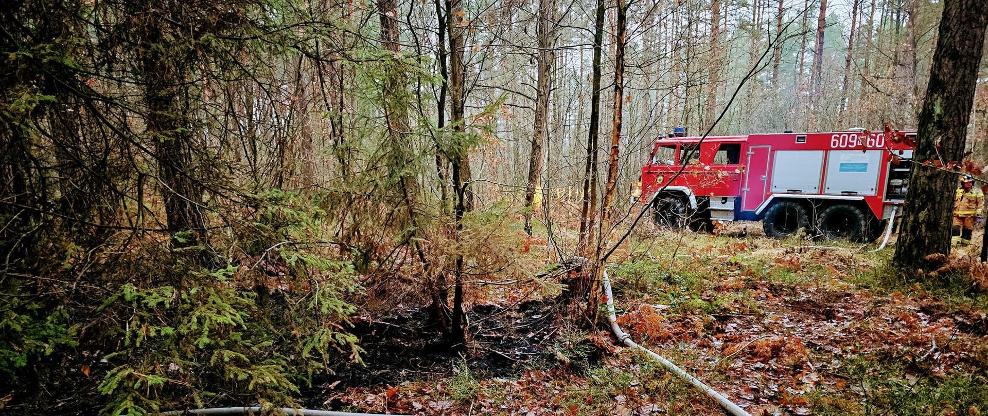 Na zdjęciu widoczny jest czerwony wóz strażacki, z numerem operacyjnym "609-60", zaparkowany jest w lesie. Obok niego widoczny jest strażak, a na pierwszym planie widać spalone poszycie w lesie i gałęzie. Nawodnione węże strażackie leżą na ziemi.