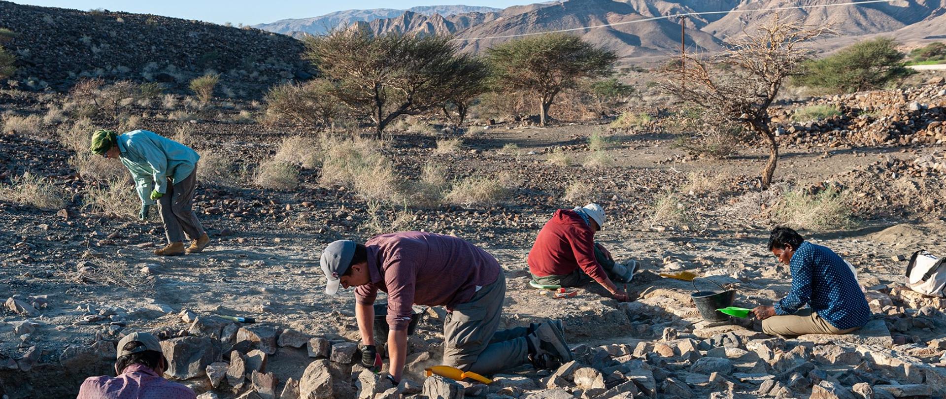 Cleaning the walls of the building from the Umm an-Nar period (photo: J. Śliwa / CAŚ UW)