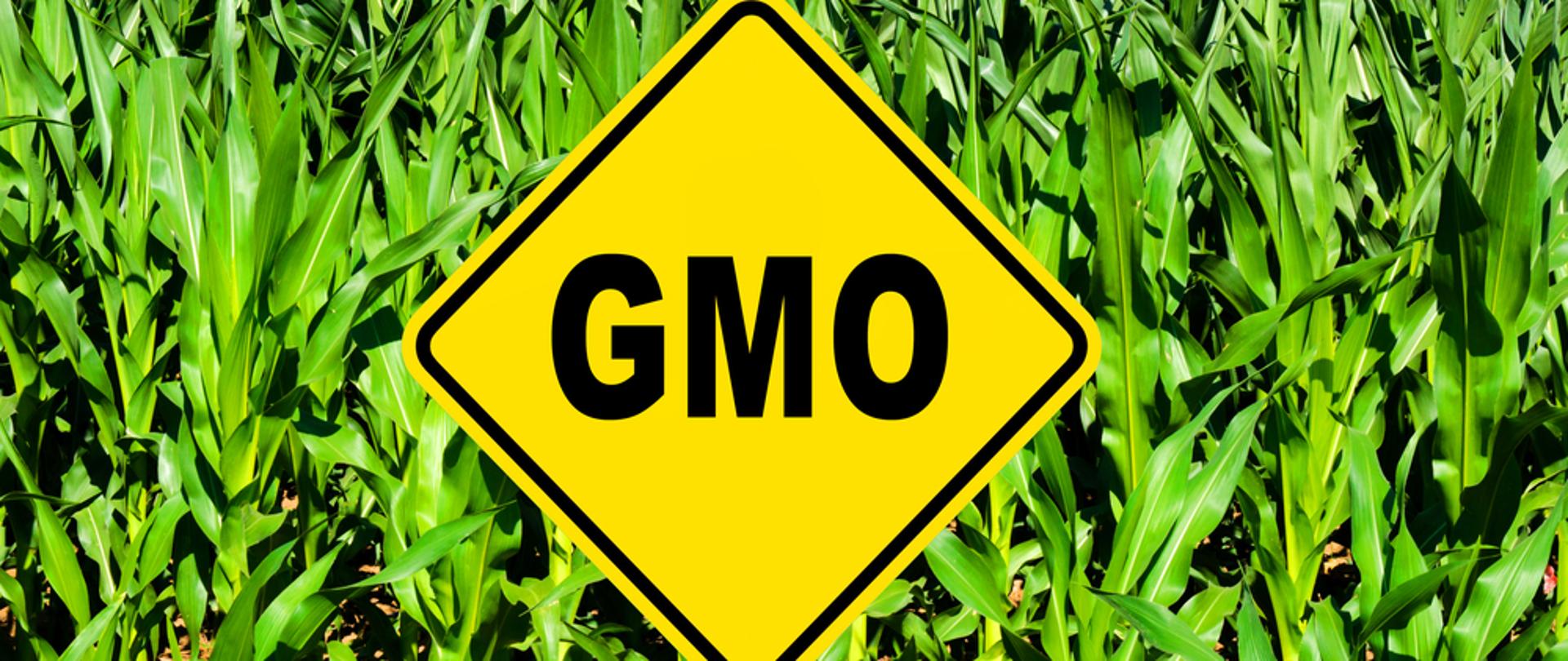 Zakaz GMO