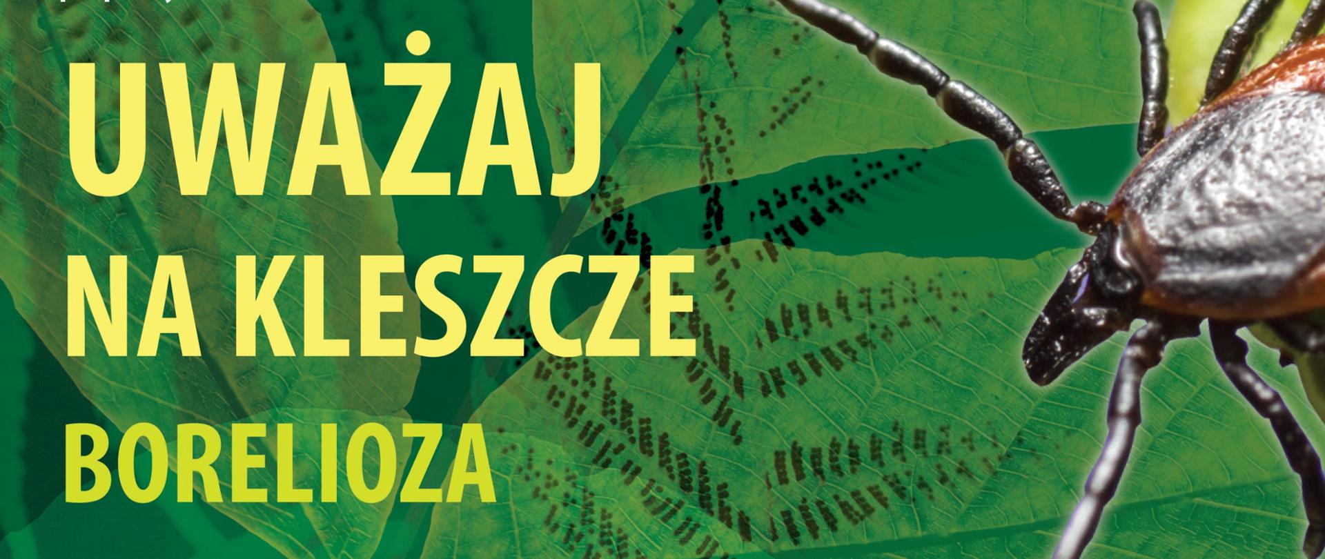 plakat_borelioza_IMW-1_(2)