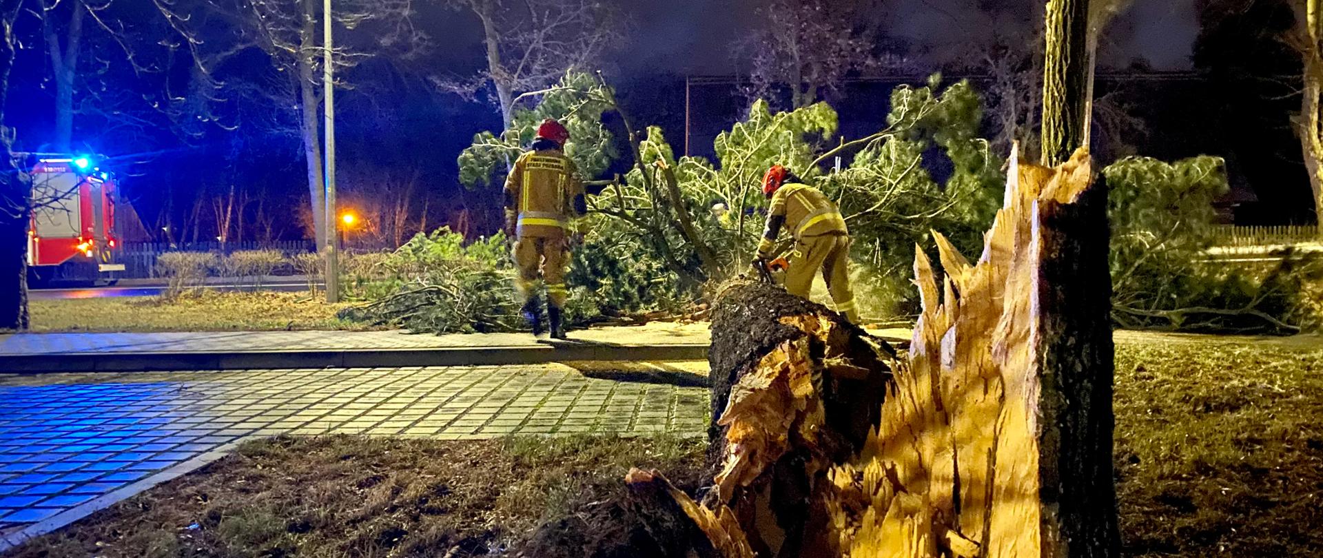 NOC, POWALONE DRZEWO, STRAŻACY UDRAŻNIAJĄ DROGĘ