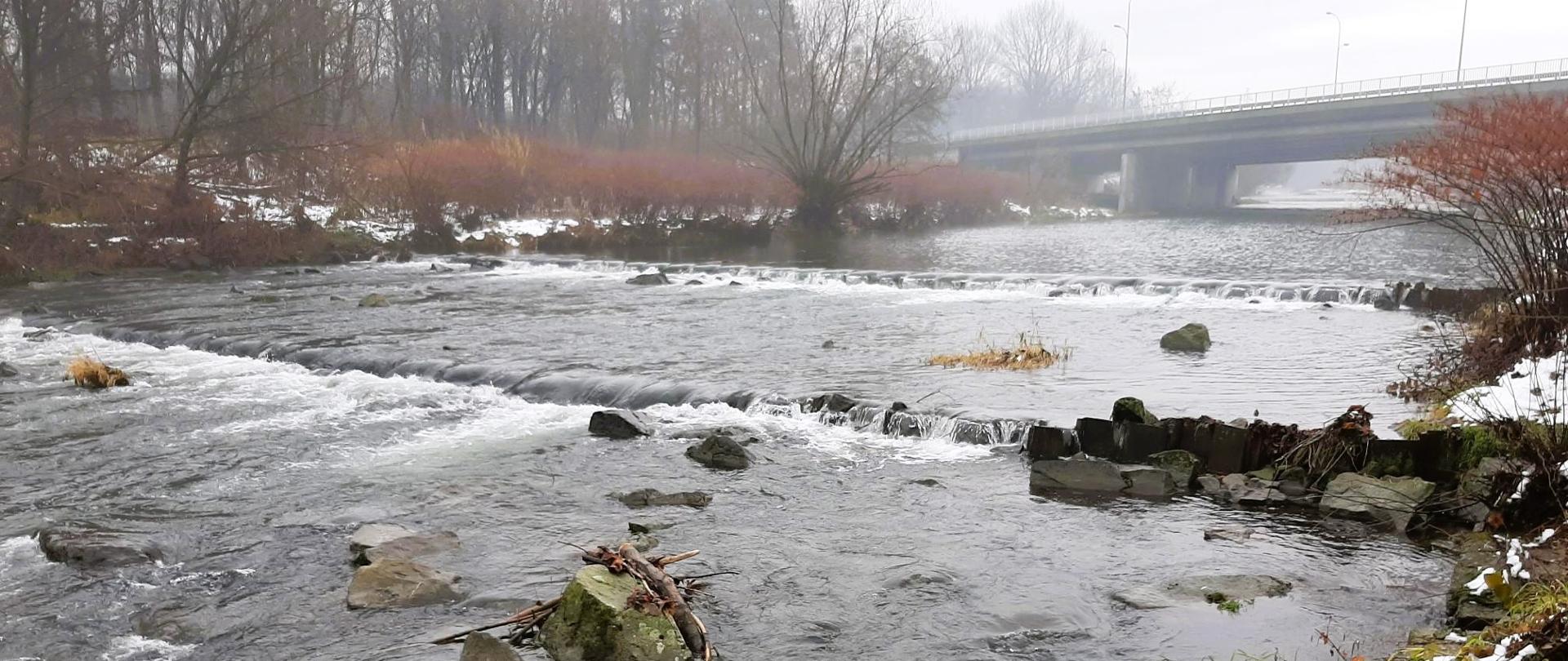 Prace odtworzeniowe zrealizowane w ramach działań na rzece Wiśle
