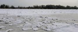 Wody Polskie prowadzą kolejny dzień bieżącego monitoringu zjawisk lodowych na rzekach Bug i Narew