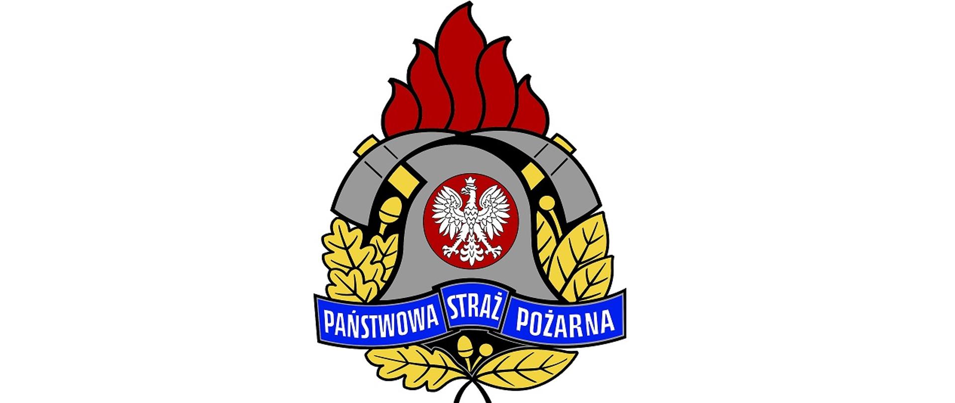 logotyp PSP
