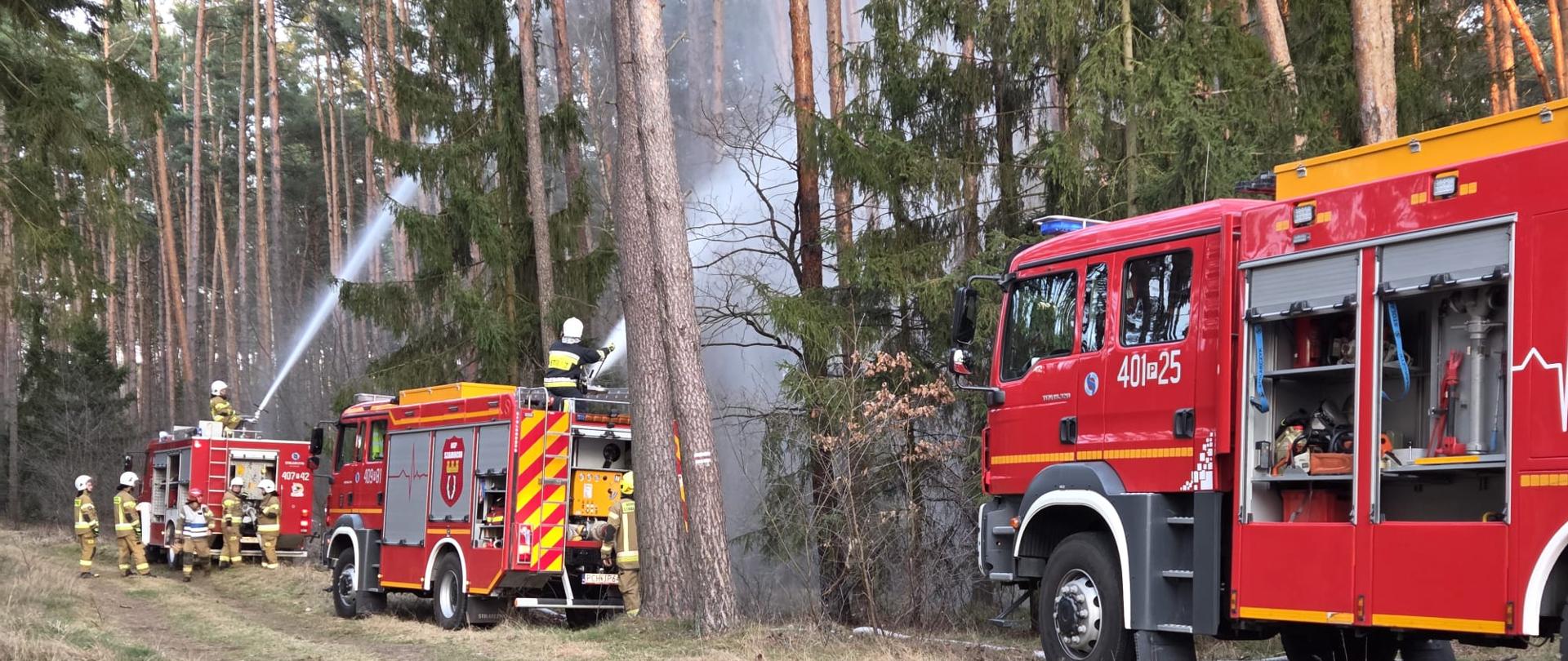 Zdjęcie przedstawia strażaków podczas ćwiczeń w lesie.
W tle las.
