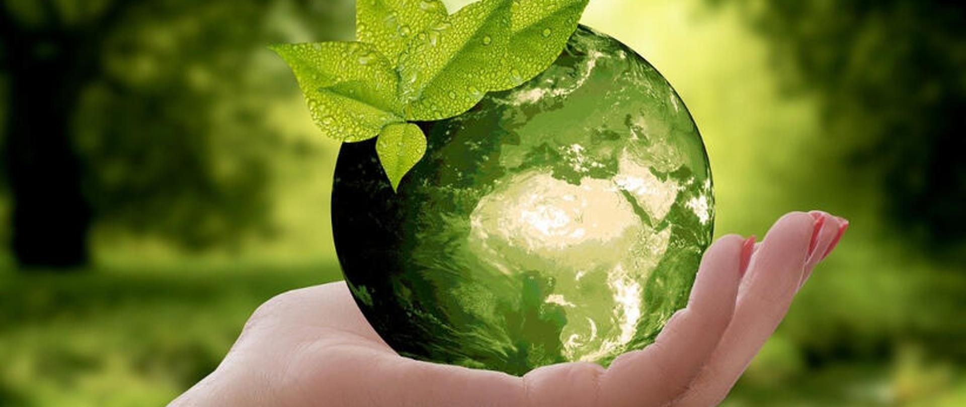 kula ziemska z liściem trzymana w dłoni