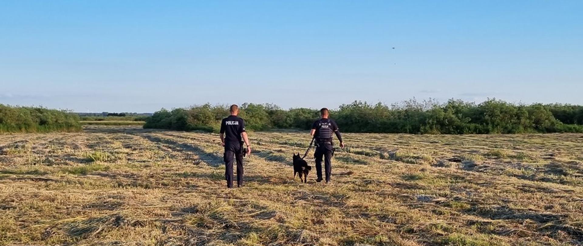 Zdjęcie przedstawia policjantów z psem prowadzących poszukiwania na łące. 