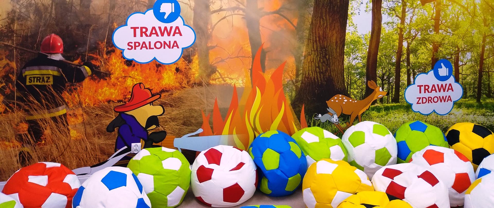 zdjęcie przedstawia jedną ze stron wnętrza sali edukacyjnej