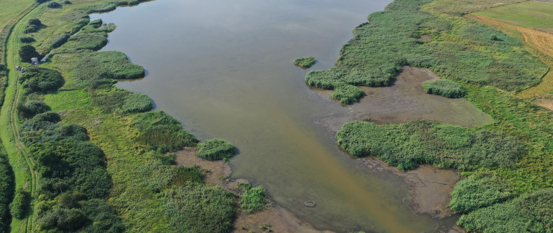 Widok z drona na całe jezioro. Woda w jeziorze zielonobrunatna.