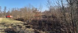 Teren spalonych nieużytków porośnięty krzewami. Z daleka widać samochód strażacki. 