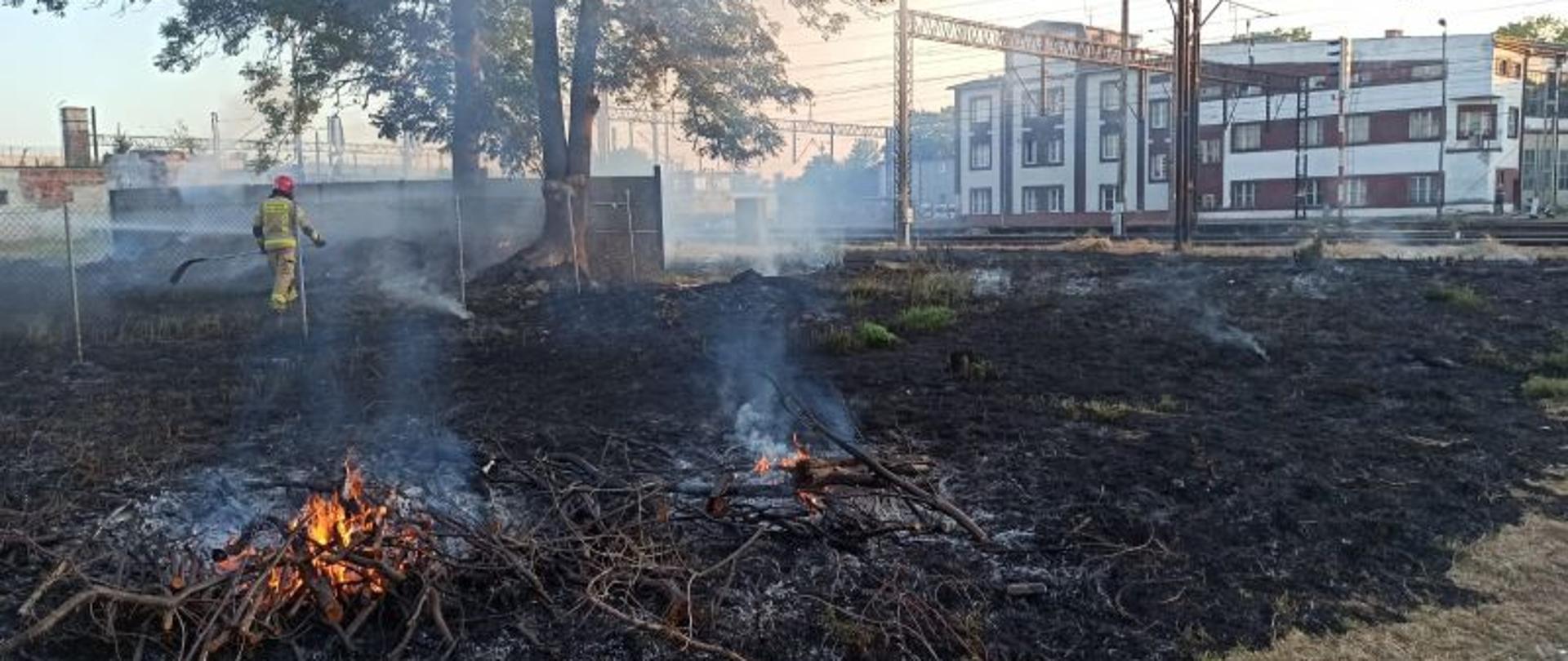 Widok na spaloną trawę w okolicach torów. Na środku spalone w pożarze gałęzie. W tle budynki gospodarcze, garażowe należące do kolei.