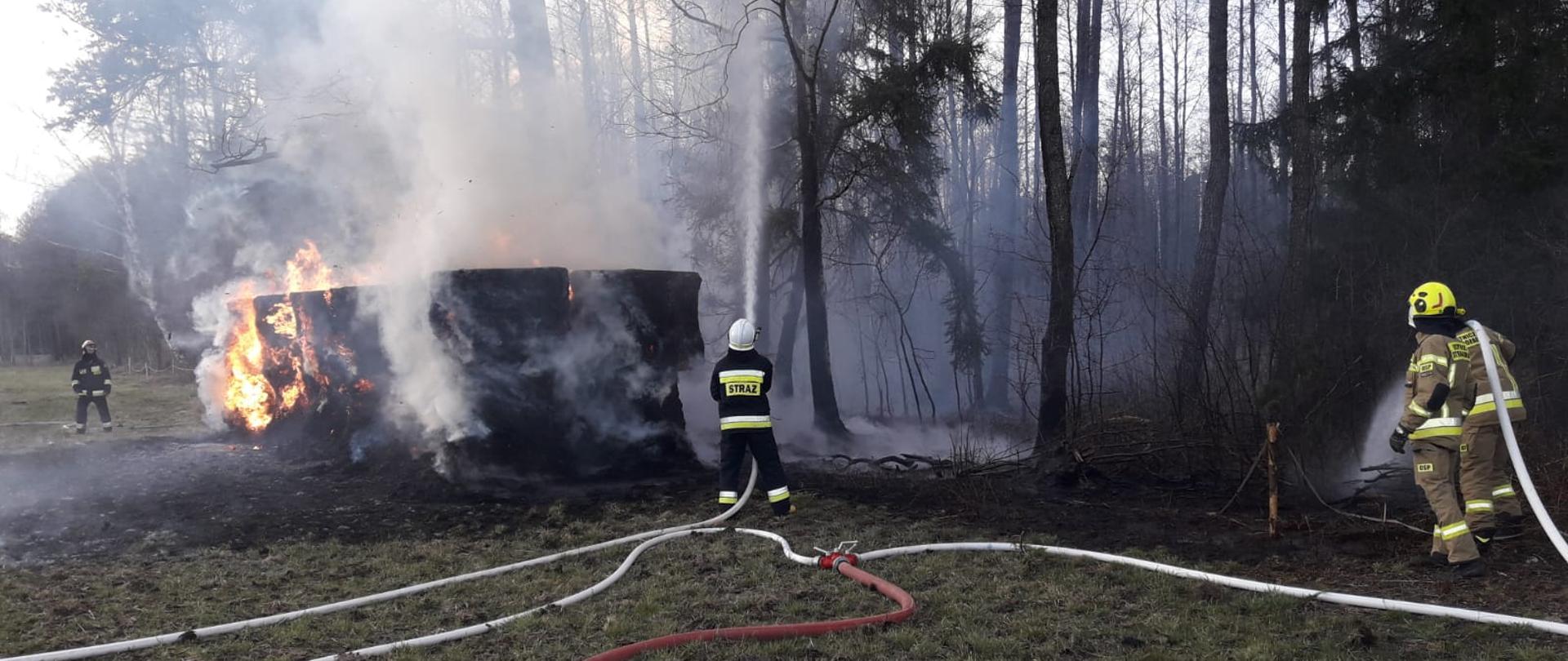 Na zdjęciu widoczna akcja gaśnicza palącej się sterty bel i ściółki leśnej
