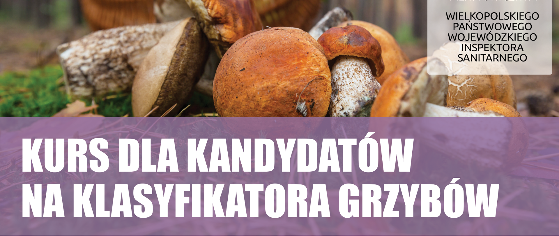 Ulotka zawierająca "Informacja dot. kursu na klasyfikatora grzybów"