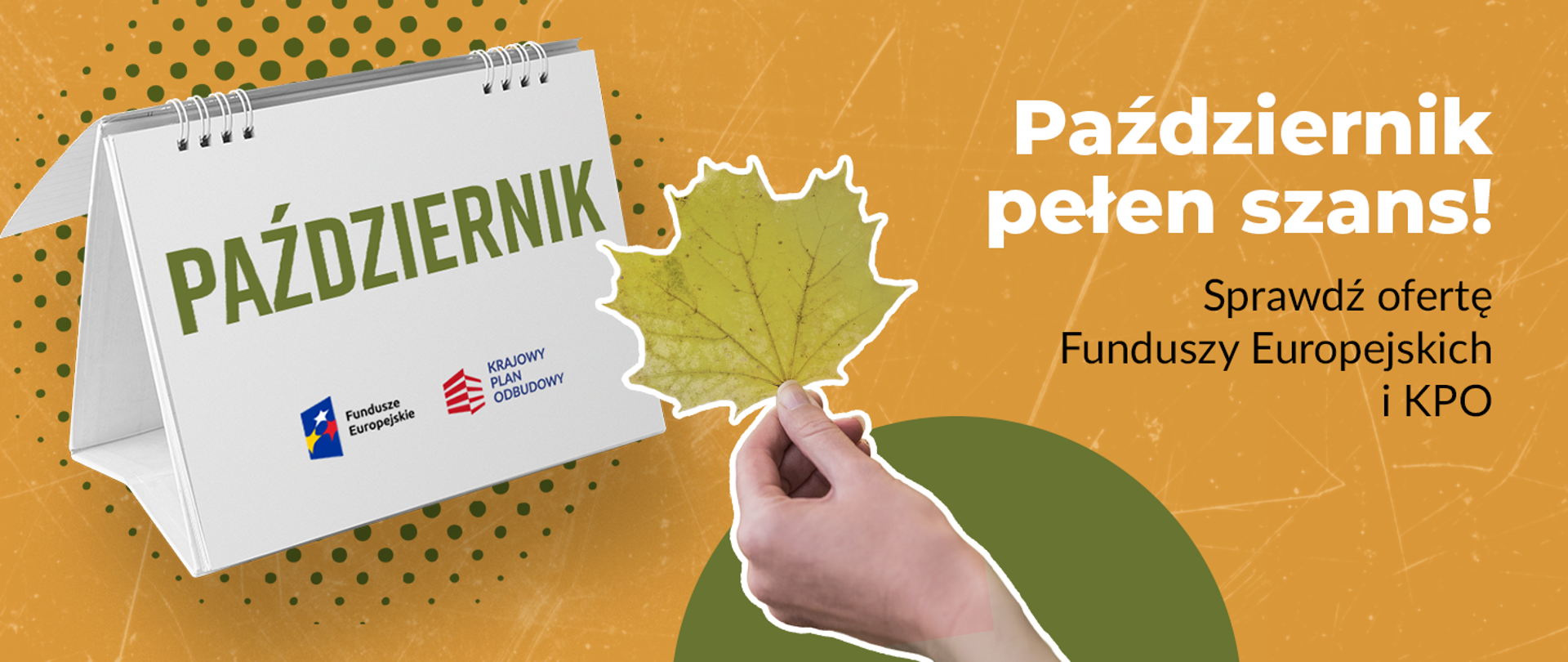 nabory_październikowe_gov