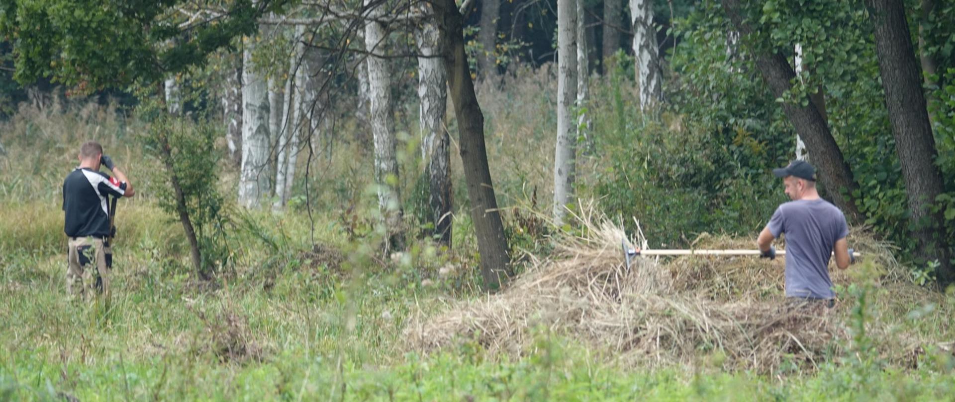 Działania ochronne w mazowieckich rezerwatach przyrody