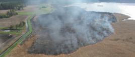 Pożar suchych traw i trzcinowiska, gmina Knyszyn, powiat moniecki