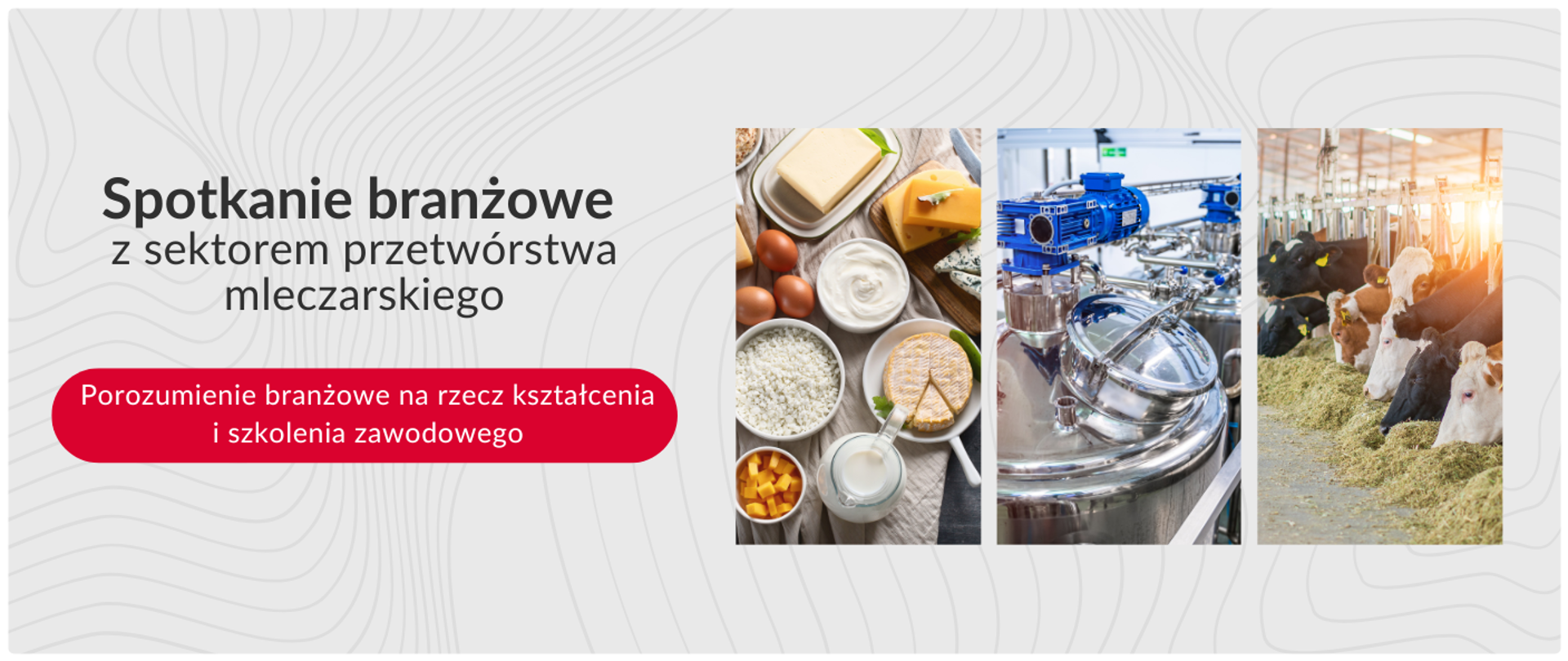 
Obraz to baner promocyjny dotyczący spotkania branżowego z sektorem przetwórstwa mleczarskiego. Po lewej stronie znajduje się tekst: "Spotkanie branżowe z sektorem przetwórstwa mleczarskiego" oraz pod nim czerwony przycisk z napisem "Porozumienie branżowe na rzecz kształcenia i szkolenia zawodowego". Po prawej stronie znajdują się trzy pionowe zdjęcia: pierwsze przedstawia różnorodne produkty mleczne takie jak ser, jogurt, twaróg; drugie przedstawia przemysłowe zbiorniki i rury w zakładzie mleczarskim; trzecie przedstawia krowy w oborze, jedzące siano. Tło baneru jest białe z subtelnym, szarym wzorem.
