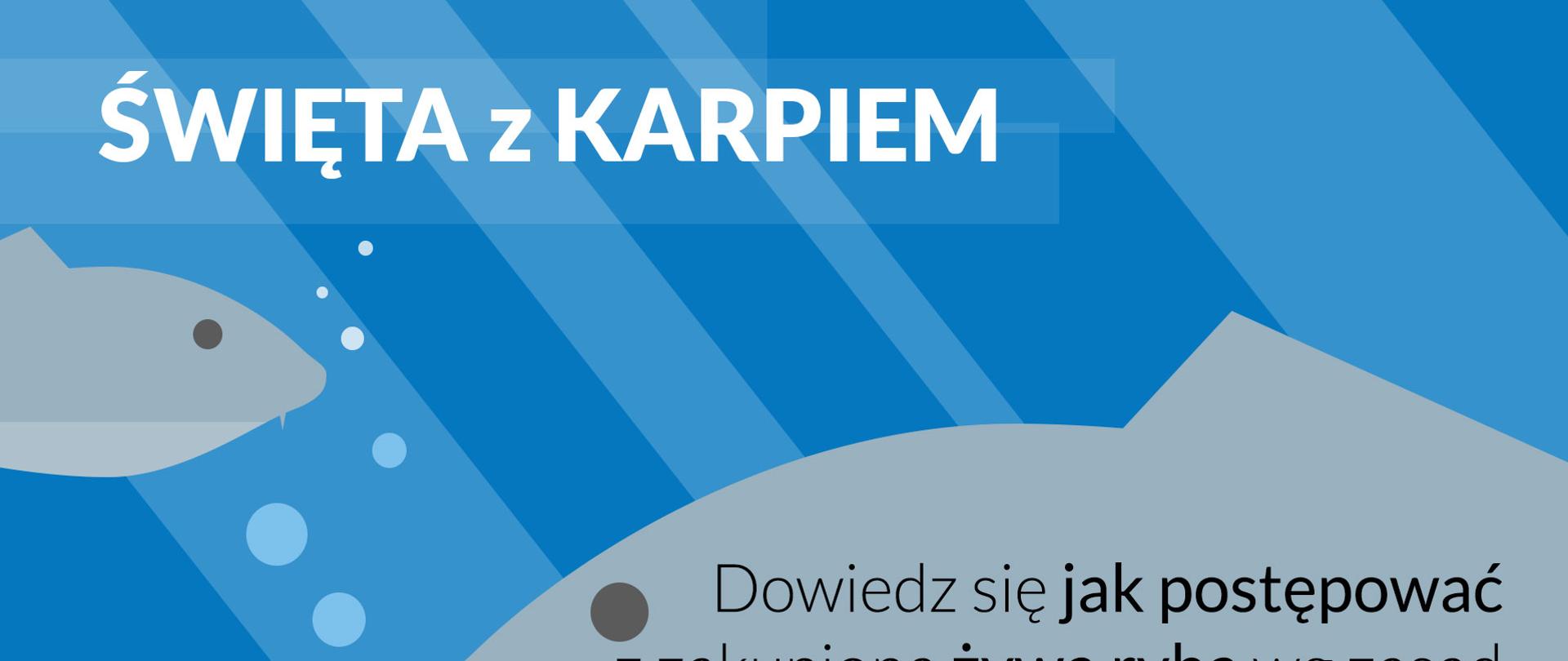 Infografika z rysunkiem ryby i tytułem "Jak postępować z zakupioną żywą rybą"