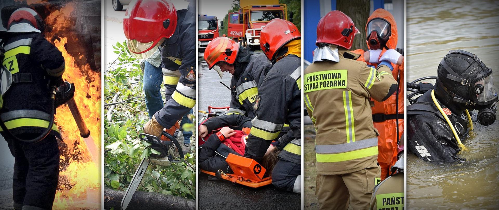 Kolaż pięciu zdjęć przedstawiający strażaków Państwowej Straży Pożarnej podczas różnych działań ratowniczo-gaśniczych. Od lewej strony strażak gasi pożar, strażak przy pomocy piły spalinowej przecina drzewo, dwóch strażaków klęczących na jezdni udziela pomocy osobie poszkodowanej, która leży na desce ortopedycznej, strażak Państwowej Straży Pożarnej pomaga zakładać strój ochrony przeciwchemicznej drugiemu funkcjonariuszowi, funkcjonariusz ubrany w strój płetwonurka zanurzony jest w wodzie.