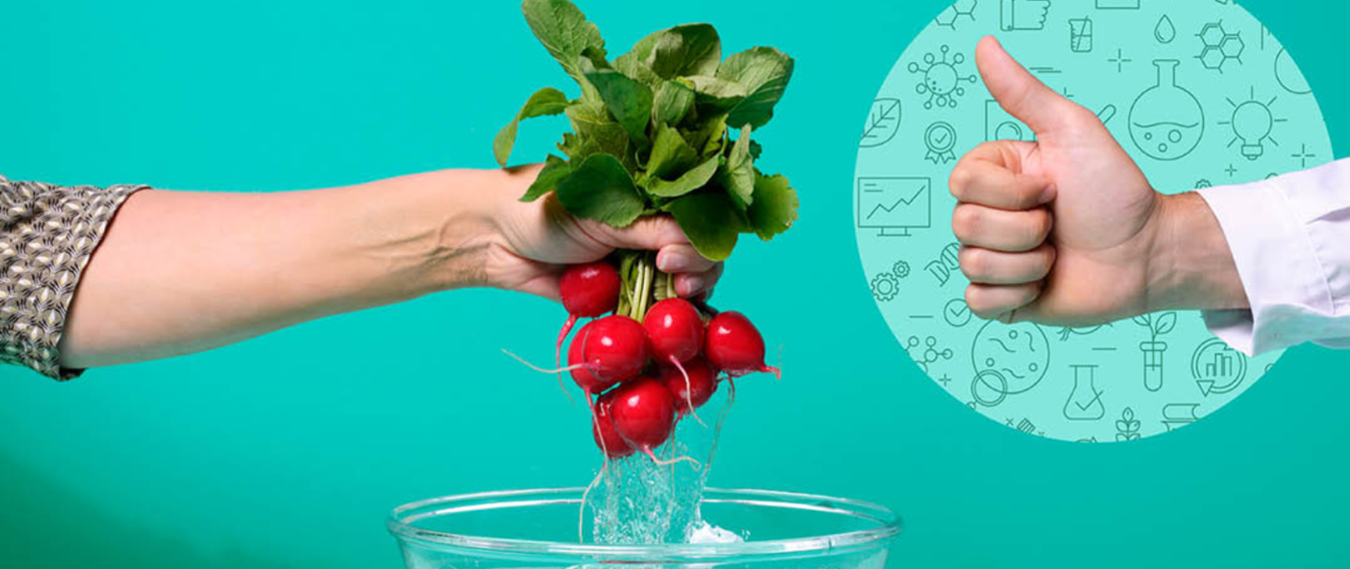 Higiena żywności- #EUChooseSafeFood