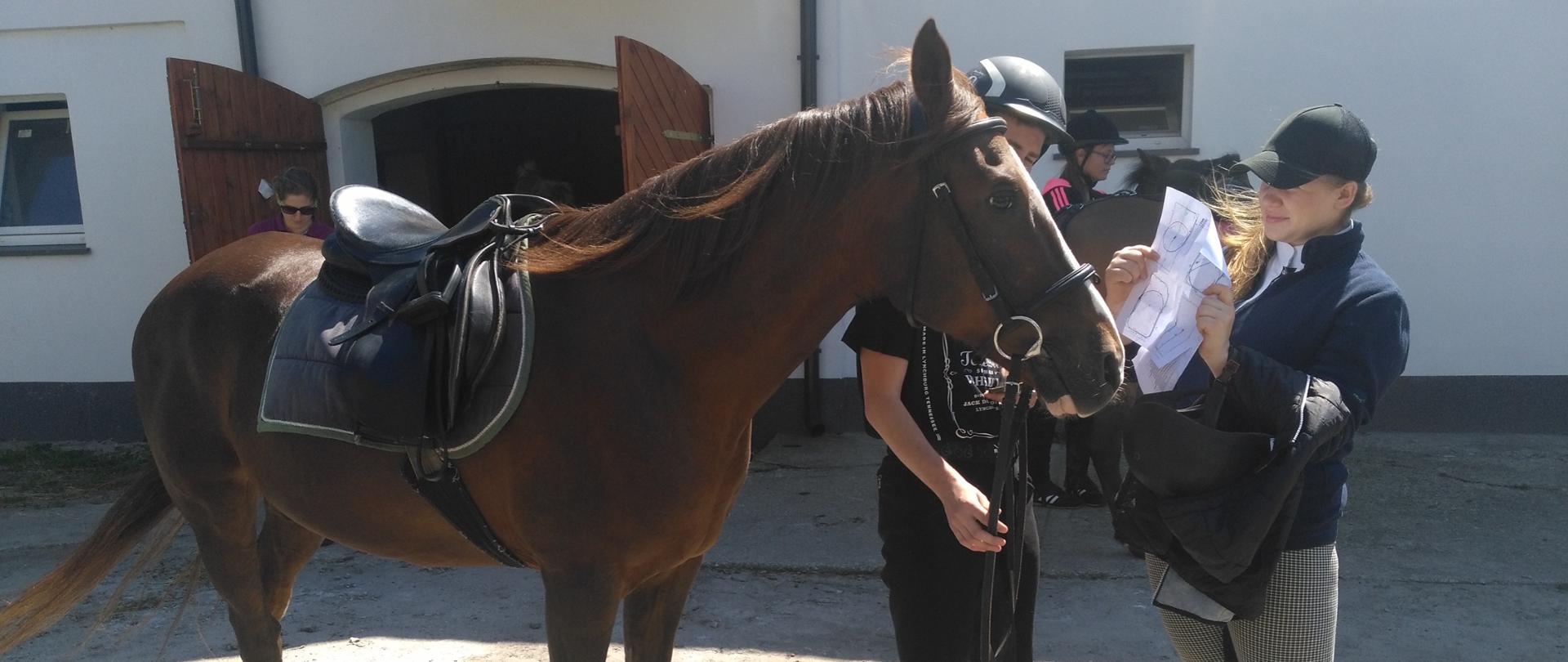 Technik Hodowca Koni