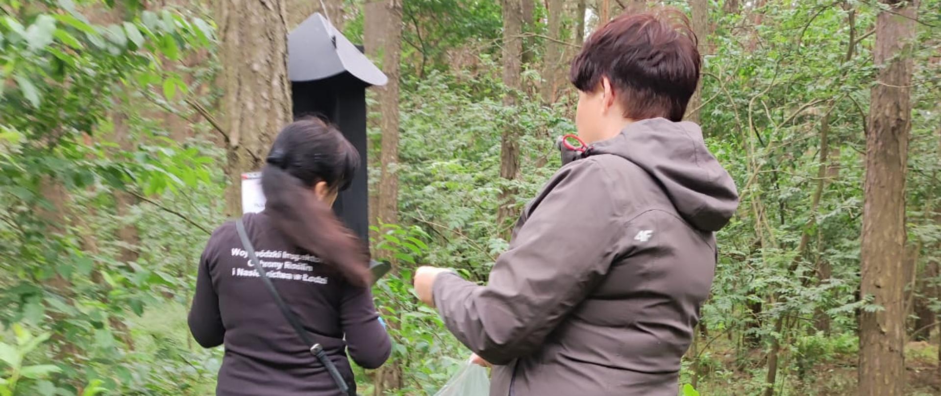 Wywieszenie pułapki