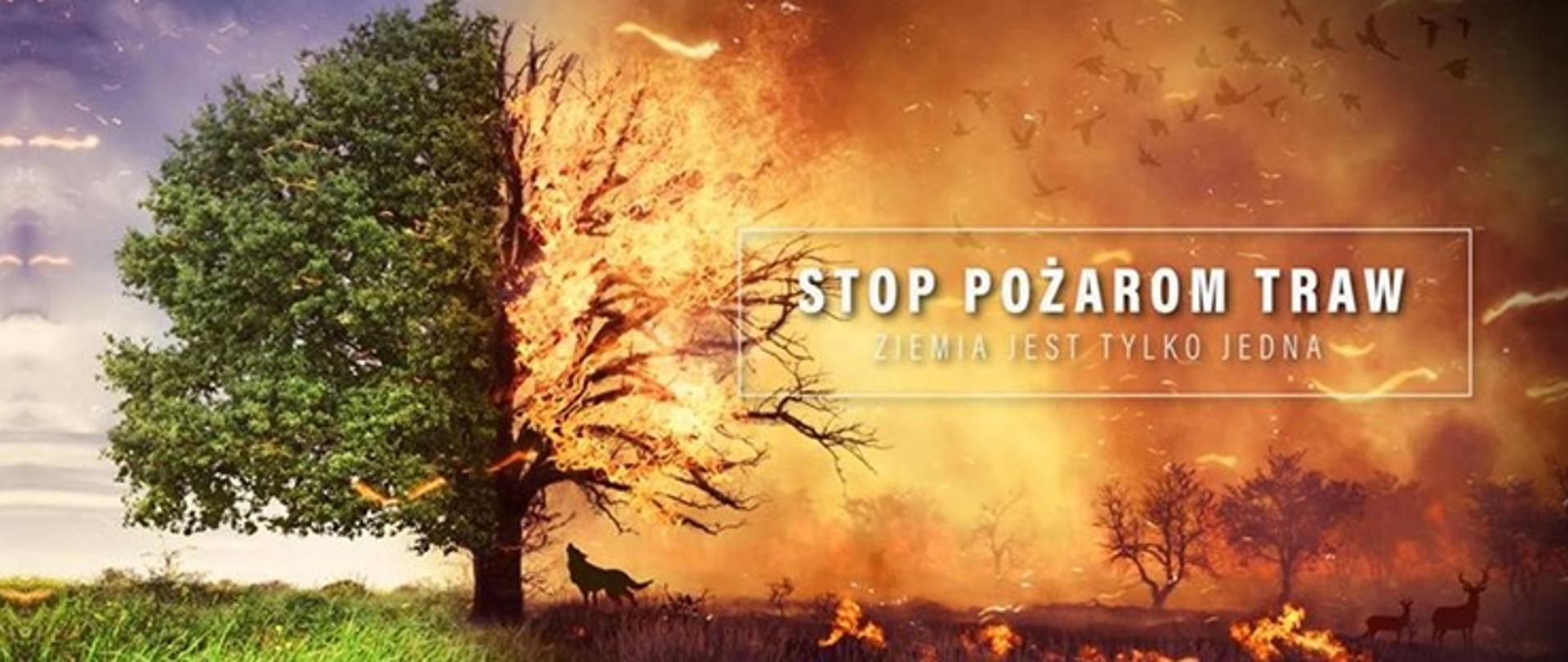 Plakat stop pożarom traw. 