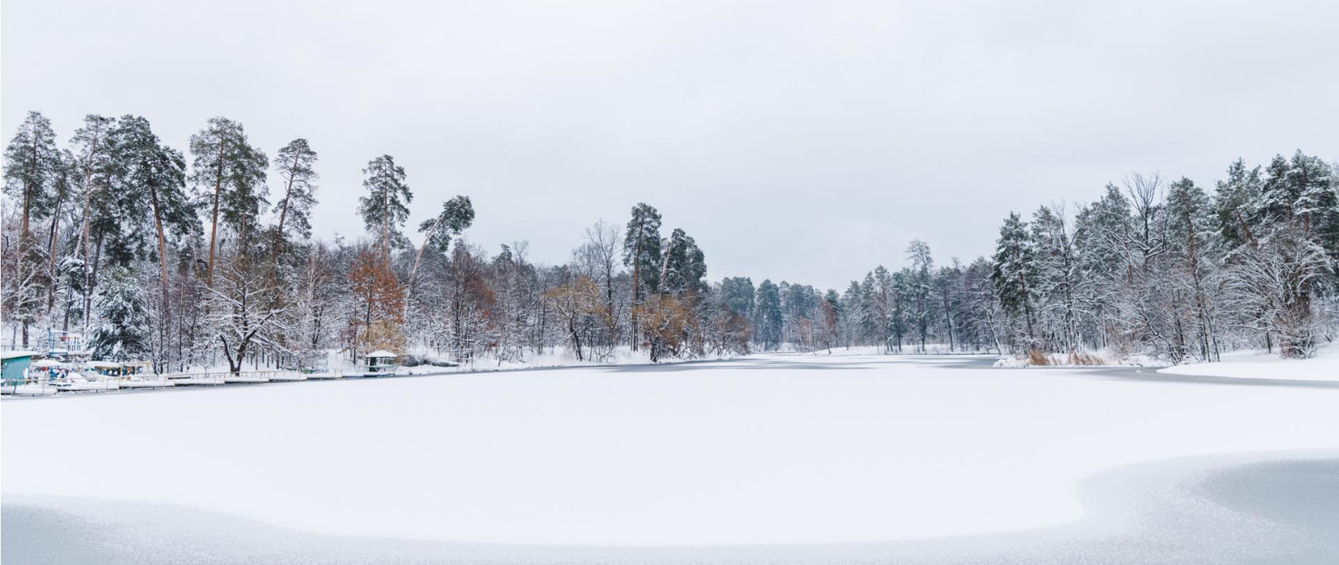 Na zdjęciu jest zamarznięty zbiornik wodny otoczony drzewami.