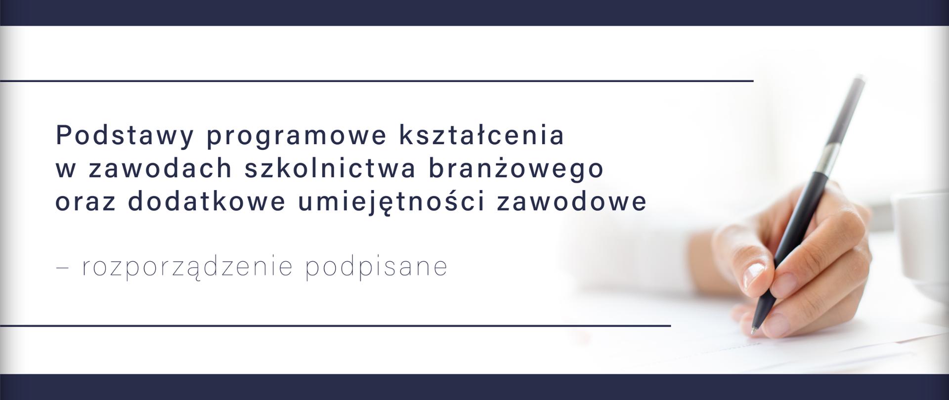 Podstawy programowe kształcenia w zawodach szkolnictwa branżowego oraz dodatkowe umiejętności zawodowe – rozporządzenie podpisane