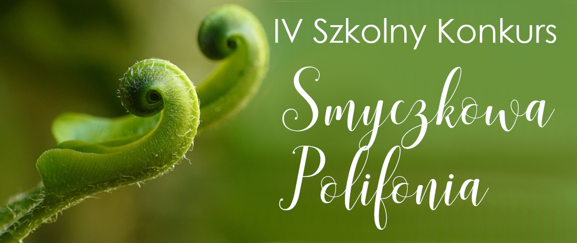 Na tle zielonego zdjęcia napis białym fontem IV Szkolny Konkurs Smyczkowa Polifonia